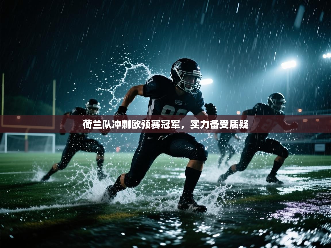 荷兰队冲刺欧预赛冠军，实力备受质疑  第2张